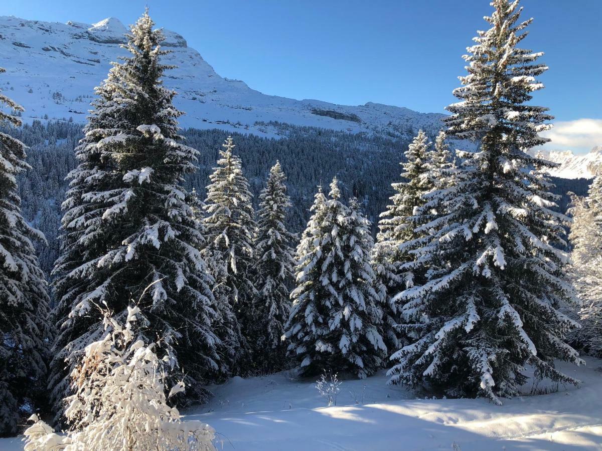 Spacious Apartment Iris, Flaine Foret Bagian luar foto